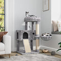IMUsee Cat Tree for Indoor Cats, Multi-Level Cat House Condo with Large Perch, Scratching Posts, Hammock, Cat Climbing Stand with Toy for Small Cats Kittens Play Rest, 36" Tall, Grey