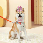 Pet Birthday Hat, Dog Birthday Crown Hat and Bowtie with 0-9 Figures Charms Party Accessories for Small Medium Dogs Cats (PINK)