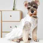 Luxury Pearl Dog Wedding Dress,Dog Rose Love Heart Dress,Pet Bride Costume Formal Apparel for Small Dogs (White, Large)