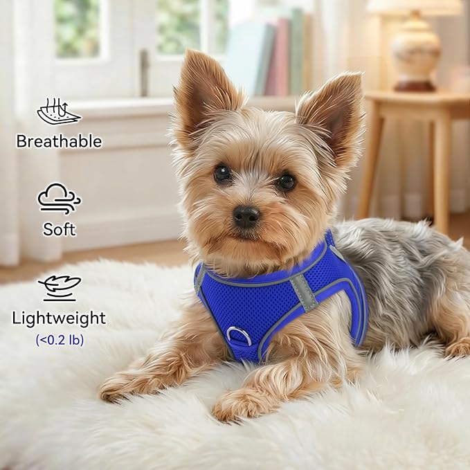 Joytale Small Dog Harness, Breathable Mesh Step-in Vest, Reflective Soft Padded Harnesses for Cats and Puppies Dogs, Navy Blue, XXXS