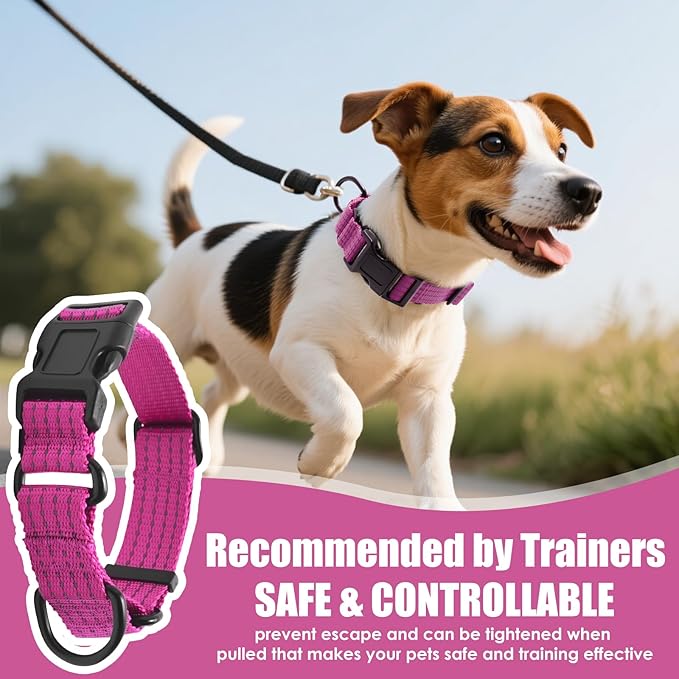 Martingale Collar for Dogs, Reflective Heavy Duty with Quick Release Nylon Buckle, No Pull Training Choker for Walking, Training, Hot Pink, L