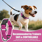 Martingale Collar for Dogs, Reflective Heavy Duty with Quick Release Nylon Buckle, No Pull Training Choker for Walking, Training, Hot Pink, M