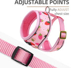 PUPTECK Soft Mesh Dog Harness and Leash Set Pet Puppy Cat Comfort Padded Vest No Pull Harnesses, Strawberry Pink, M
