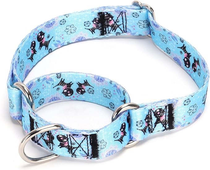 Serijoars Adjustable Martingale Dog Collar Heavy Duty Nylon Dog Collar for Medium Large Dogs Walking Training Boy and Girl Dogs (NO20, M)