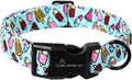 ARING PET Summer Dog Collar, Cute Blue Ice Cream Doggy Collars for Puppy Small Medium Large Boy Girl Dogs Pet, for Daily Photos Outdoor Beach Walking Picnic, M