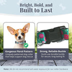 Lucky Love Dog - Adjustable Dog Collar with Easy Click Buckle for Small Dogs, Durable, & Comfortable for Male & Female Dogs, Pet Collar for Puppies & Adult Ones - Penny, XS