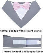 ADOGGYGO Formal Dog Tuxedo Wedding Pet Bandana Collar with Bowtie, Adjustable Birthday Wedding Formal Tux Costumes for Small Dogs Pets (S, Grey)