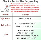 Martingale Collar for Dogs, Biothane, Stainless Steel Hardware, No Pull, Made in The USA, Professional Grade, XS, Pink