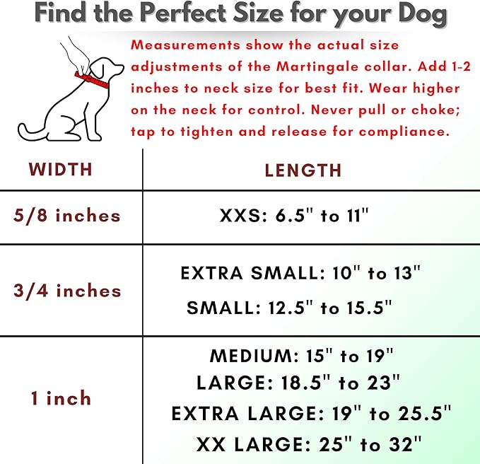 Martingale Collar for Dogs, Biothane, Stainless Steel Hardware, No Pull, Made in The USA, Professional Grade, XS, Black