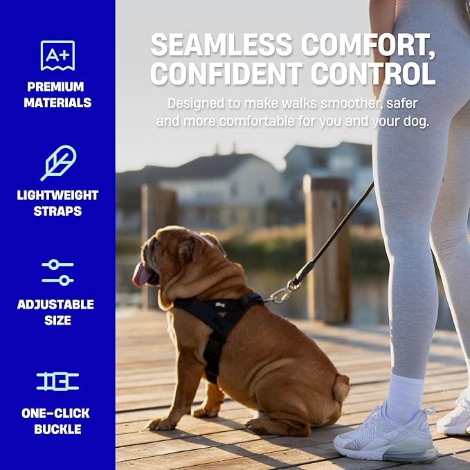 DF Co. Dog Harness | Chafe Resistant Webbing, Adjustable Neck & Chest, and Heavy Duty D-Ring | Sturdy, Comfortable, Easy to Use | Pink, Size XL