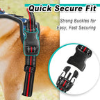 BARKBAY Dog Harness No Pull for Small Dogs - Adjustable, Reflective, Comfortable, No Choke, Heavy-Duty - Perfect for Outdoor Training, Walking, and Hiking - Strong & Durable - XS & Star
