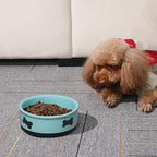 Sweejar Ceramic Dog Bowls with Bone Pattern, Dog Food Dish for Large Dogs, Porcelain Pet Bowl for Water 70 Fl Oz (Turquoise)