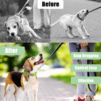 Prong Training Collar for Dogs, Adjustable Dog Pinch Collar with Quick Release Buckle, No Pull Collar for Small Medium Large Dogs, Extra Link and Caps