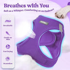 rabbitgoo Dog Harness Small Sized and Leash Set, Step in Soft Light Puppy Vest, Breathable Mesh Pet Harness, Reflective for Safe Outdoor Walking, Purple XXS