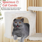 Cat Tree, 36 Inches Indoor Cat Tree Tower Condo, Natural Sisal Cat Scratching Post with Cozy Bed, Small Cats Tree for Kittens, Soft Perch & Cute Toys, Beige