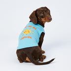 Fitwarm You are My Sunshine Dog Shirt, Tropical Summer Clothes for Small Dogs Boy Girl, Funny Pet Outfit, Blue, Yellow, XL