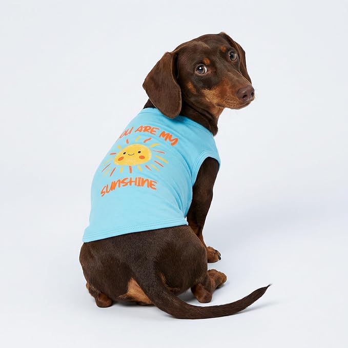 Fitwarm You are My Sunshine Dog Shirt, Tropical Summer Clothes for Small Dogs Boy Girl, Funny Pet Outfit, Blue, Yellow, XL