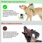 ChalkLit Light Up Dog Harness, No Pull Led Dog Harness Glow-in-The-Dark for Night Walking, USB Rechargeable Lighted Safety Vest for Small Dogs, Adjustable Soft Mesh Fully Illuminated (Green, Small)
