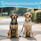 Martingale Collar for Dogs, Reflective Heavy Duty with Quick Release Nylon Buckle-USA Flag-No Pull Training Choker for Walking, Training, Sky Blue,M