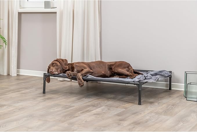 Trixie 2-in-1 Dog House and Bed - Elevated Indoor/Outdoor Tent with Removable Cover - Waterproof and Sun-Resistant - for Large Dogs up to 100 lbs - 39.4 x 35.4 x 48.8 in