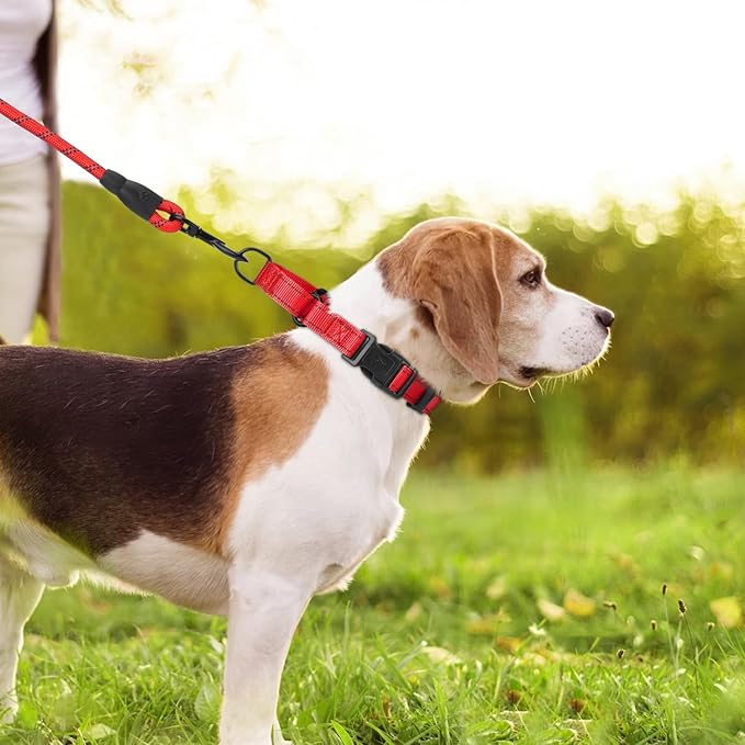 Martingale Collar for Dogs with Quick Release Buckle, Reflective Soft Padded & Escape Proof, Adjustable Nylon Dog Collars for Training & Daily Walking (Red,XS)