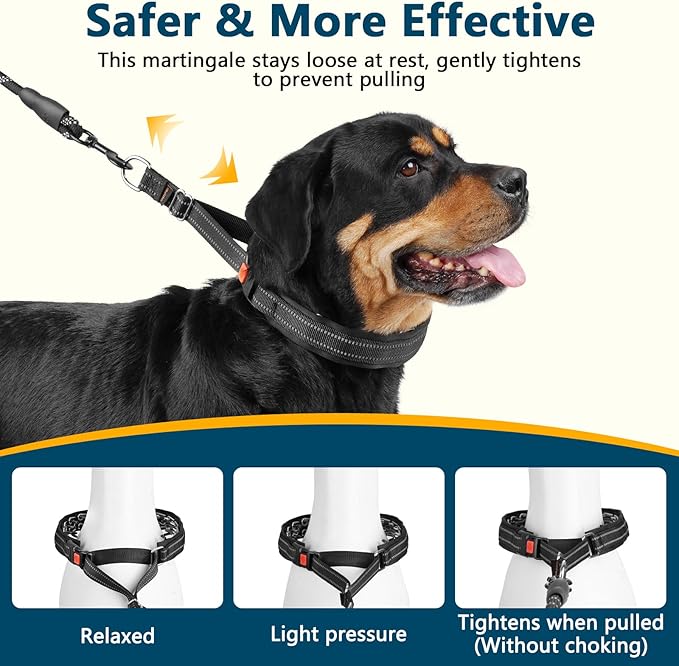Crazy Felix No Pull Martingale Collar for Large Medium Small Dog Pitbull German Shepherd Doberman, Dog Collar Anti Pull with Buckle for Training Walking (Black, XXL-Neck 22-24.75", 1.5" Wide)
