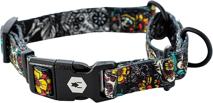 Wolfgang Heavy Duty Martingale Dog Collar with Quick Release Nylon Buckle for Walking & Training, LosMuertos Print, Large