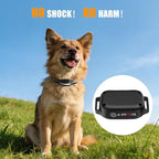 PERPETUAL No Shock Dog Vibration Collar for 2 Dogs, 3300FT Long Range, Waterproof Training Collar with 9 Beep & Vibration Modes, Black, 5-120 lbs