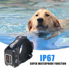 DOTSTAR Dog Training Pet Collar Anti Barking Electric Collar 2 in 1 System, Dual Independent Automatically Switch System, Anti Barking Dog Training Device, Waterproof Rechargeable Dog Collar