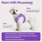 rabbitgoo Dog Harness Small Sized and Leash Set, Step in Soft Light Puppy Vest, Breathable Mesh Pet Harness, Reflective for Outdoor Safe Walking, Purple XXL