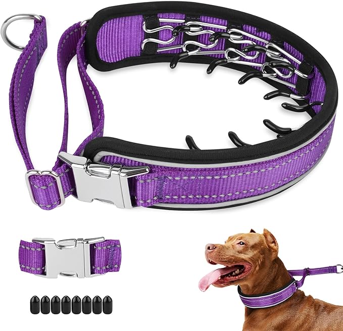 Mayerzon Prong Collar for Large Medium Dogs, Patented Reflective Pinch Collar with Metal Buckle, No Pull Adjustable Hidden Covered Dog Walking Training for Pitbull German Shepherd Doberman(Purple, XL)