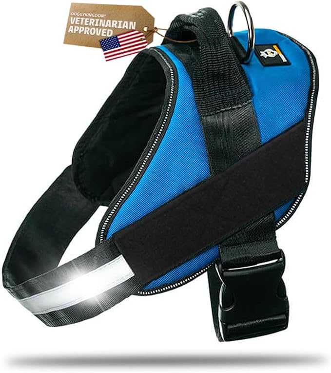 Dog Harness with Patch Panels, No Choke, Reflective, Adjustable, Soft Padded Dog Vest Harness with Easy Control Handle for Large Dogs, Blue, 2XL