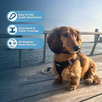 Best Pet Supplies - All Weather Mesh / Plush, Reflective, No Pull Harness for Small, Medium Dogs, Cats - Secure with Hook & Loop Fastener, Buckle, Double D-Rings - Black/Black Trim, XL
