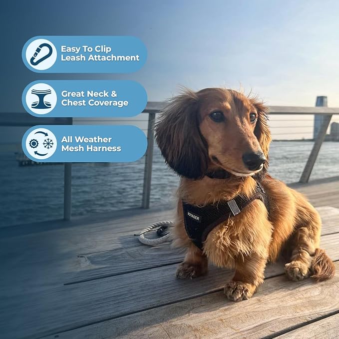 Best Pet Supplies Voyager Step-in Air Harness - All Weather Mesh, Reflective, No Pull Harness for Dogs, Cats - Secure with Hook & Loop Fastener, Buckle, Double D-Rings - Black, XL