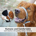 BARKLESS Dog Head Collar, Anti-Pulling Printed Head Halter with Leash, Gentle Snout Harness with Adjustable Clip for Small Medium, and Large Dogs Leash Training