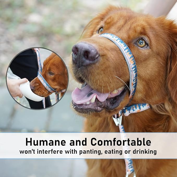 BARKLESS Dog Head Collar, Anti-Pulling Printed Head Halter with Leash, Gentle Snout Harness with Adjustable Clip for Small Medium, and Large Dogs Leash Training