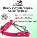 Martingale Collar for Dogs, Biothane, Stainless Steel Hardware, No Pull, Made in The USA, Professional Grade, XS, Pink