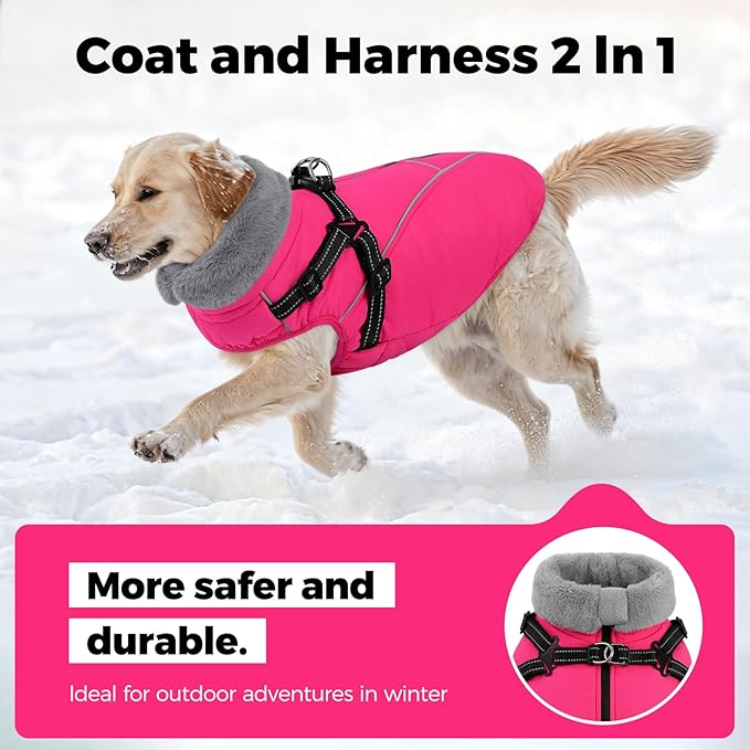 Queenmore Dog Coat,Windproof Dog Coat for Medium Dogs,Dogs Jackets with Harness Built in,Waterproof Doggy Coats with Zipper On Back,Reflective Cold Weather Coats for Dachshund,Boston Terrier,RoseRed,M