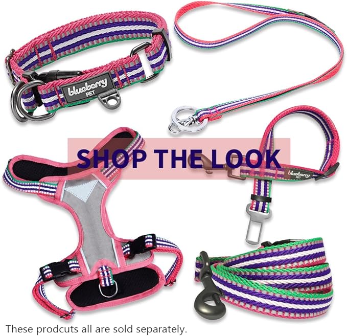 Blueberry Pet 4 Colors 3M Reflective Multi-Colored Stripe Martingale Safety Training Dog Collar, Pink Emerald and Orchid, Small, Heavy Duty Adjustable Collars for Dogs