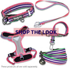 Blueberry Pet 4 Colors 3M Reflective Multi-Colored Stripe Martingale Safety Training Dog Collar, Pink Emerald and Orchid, Large, Heavy Duty Adjustable Collars for Dogs