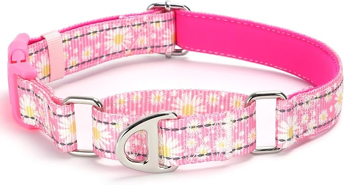 Martingale Collar for Dogs - Pink Daisy Reflective Nylon, No Slip Choke Heavy Duty Collar with Quick Release Buckle & Padded Comfort - Safe Fit for Training & Walking Large