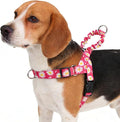 PUPTECK No Pull Dog Harness Small Sized Dog, Adjustable Reflective Pet Vest Harness with Bungee Handle, Escape Proof No Choke Harness for Small Dogs Walking Training, Fuschia Daisy M