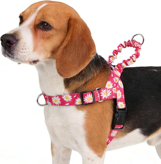 PUPTECK No Pull Dog Harness Small Sized Dog, Adjustable Reflective Pet Vest Harness with Bungee Handle, Escape Proof No Choke Harness for Small Dogs Walking Training, Fuschia Daisy M