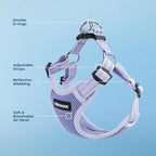 Best Pet Supplies Voyager Adjustable Step-in Flex Breathable Mesh Dog Harness for Small Medium Large Dogs (Lavender), XS