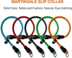 LOS ANDES Dog Slip Collar with Slidable Stopper, No Pull Choker Training Martingale Collar for Small Medium Large Dogs, Nylon, Orange, S (15 in x 8 mm)