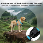 Plutus Pet Adjustable No Pull Dog Harness with Leather Accents, Heavy Duty Reflective Nylon Vest for Training, Hiking, Easy Walk Harness for Small, Medium, Large Dogs (Light Blue, XL)