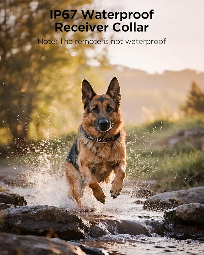BLACKDOG Military Dog Shock Collar - 4200ft Dog Training Collar with Remote, 4 Training Modes, Flashlight & Strobe, 3-Month Battery, IP67 Waterproof Dog E Collar for All Breeds 5-150lbs (Orange)