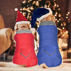 Dog Coat, Waterproof Dog Winter Jacket with Pocket, Reflective Adjustable Pet Snow Vest, Warm Cozy Fleece Sweater for Small Medium Extra Large Dogs - Blue, S