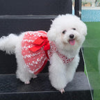CuteBone Dog Christmas Dress Girl Puppy Birthday Skirt Tutu Cat Wedding Outfit Pet Party Clothes for Small Dogs Costume DD09XS