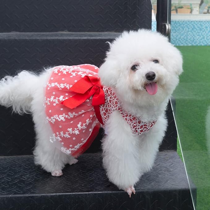 CuteBone Dog Christmas Dress Girl Puppy Birthday Skirt Tutu Cat Wedding Outfit Pet Party Clothes for Small Dogs Costume DD09S